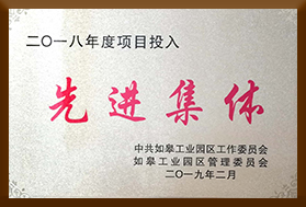 2018年度項(xiàng)目投入先進(jìn)集體
